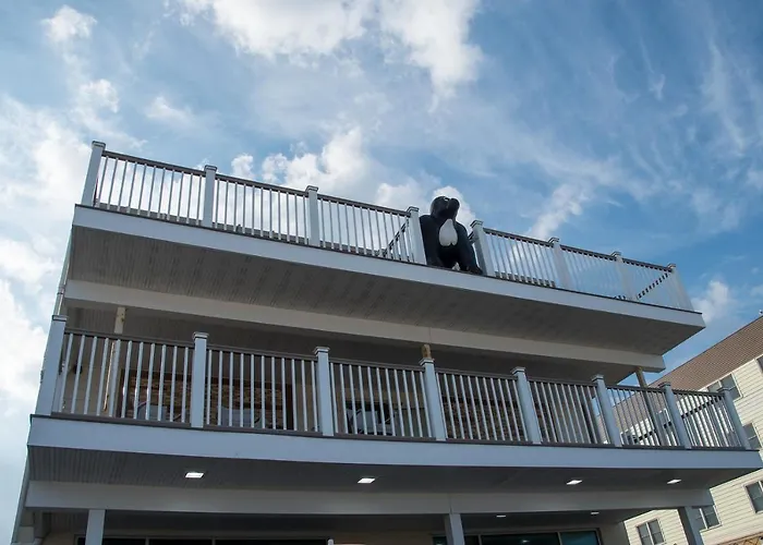 Hotel Safari Boardwalk Ocean City