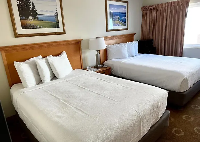 Safari Boardwalk Hotel Ocean City