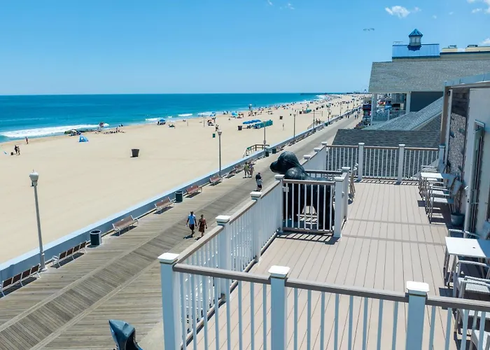 Safari Boardwalk Hotel Ocean City